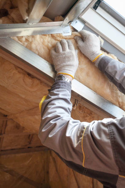 Best Insulation Maintenance and Repair in Pine Ridge, SD