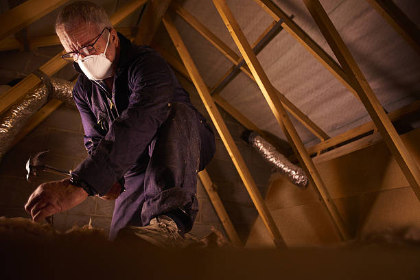 Best Insulation Materials and Products in Pine Ridge, SD